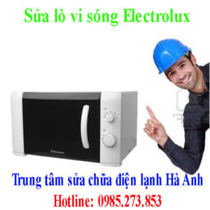 Sửa lò vi sóng Electrolux